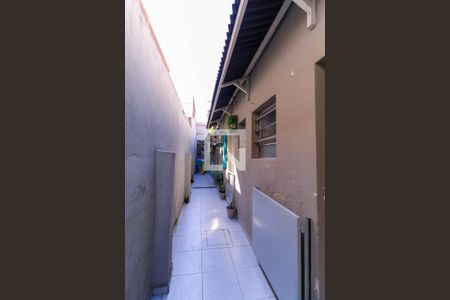 Studio para alugar com 9m², 1 quarto e sem vagaQuintal