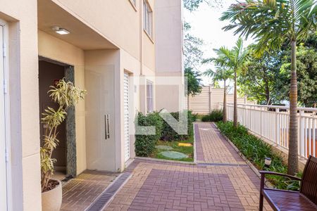 Apartamento para alugar com 41m², 2 quartos e sem vaga Apartamento para alugar com 41m², 2 quartos e sem vagaÁrea comum