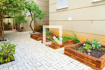 Apartamento para alugar com 55m², 2 quartos e 1 vaga Apartamento para alugar com 55m², 2 quartos e 1 vagaÁrea Comum