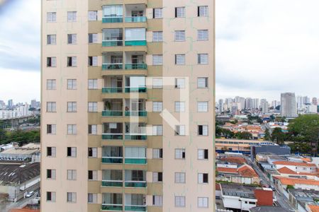 Apartamento à venda com 75m², 3 quartos e 1 vagaVista do Quarto 02