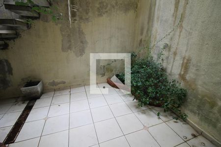 Casa para alugar com 270m², 3 quartos e 2 vagasQuintal