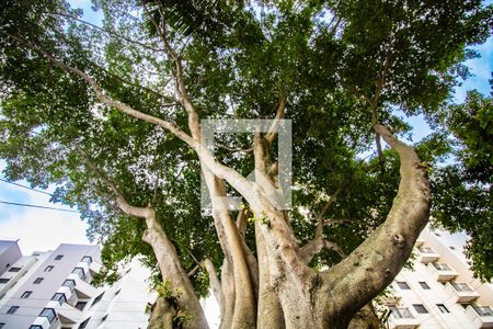 Apartamento à venda com 67m², 2 quartos e 1 vagaÁrea comum- entrada do prédio