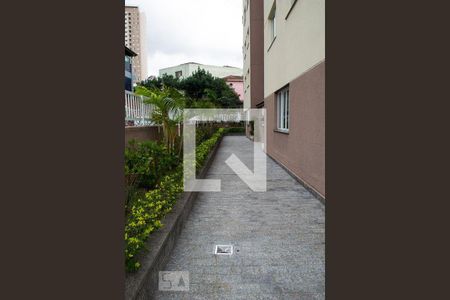 Apartamento à venda com 97m², 3 quartos e 2 vagas Apartamento à venda com 97m², 3 quartos e 2 vagasÁrea comum