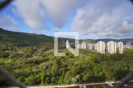 Sala - Vista de apartamento à venda com 3 quartos, 70m² em Jardim Carvalho, Porto Alegre