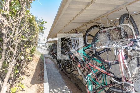 Apartamento para alugar com 55m², 3 quartos e 1 vagaÁrea Comum - Bicicletário