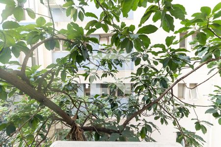 Apartamento à venda com 210m², 3 quartos e 2 vagasVista da Suíte