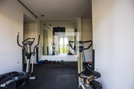 Apartamento para alugar com 52m², 2 quartos e 1 vaga Apartamento para alugar com 52m², 2 quartos e 1 vagaÁrea comum - academia