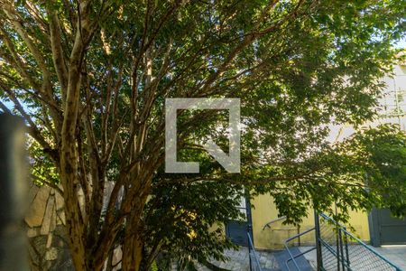 Casa à venda com 240m², 3 quartos e 2 vagas Casa à venda com 240m², 3 quartos e 2 vagasEdícula