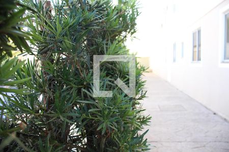 Apartamento para alugar com 41m², 2 quartos e 1 vagaÁrea comum