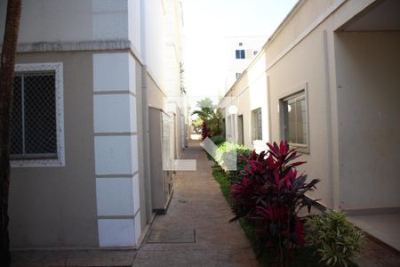 Apartamento para alugar com 41m², 2 quartos e 1 vagaÁrea comum