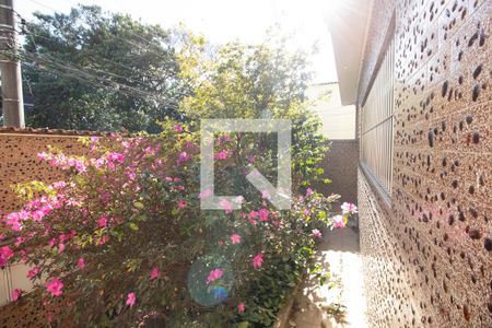Casa para alugar com 250m², 3 quartos e 3 vagas Casa para alugar com 250m², 3 quartos e 3 vagasArea Verde