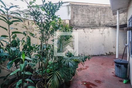 Casa à venda com 229m², 3 quartos e 3 vagas Casa à venda com 229m², 3 quartos e 3 vagasQuintal