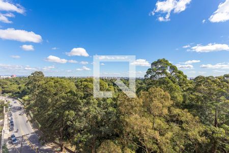 Vista da varanda da sala de apartamento para alugar com 2 quartos, 46m² em Campanário, Diadema