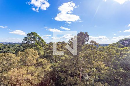 Vista da varanda da sala de apartamento para alugar com 2 quartos, 46m² em Campanário, Diadema