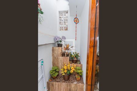 Quintal de casa para alugar com 1 quarto, 32m² em Vila America, São Paulo