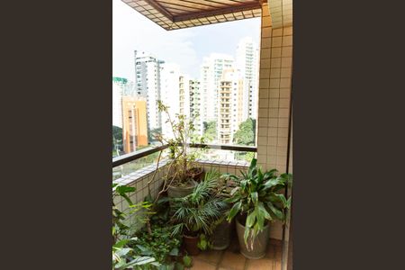 Varanda da Sala de apartamento à venda com 3 quartos, 146m² em Jardim Vila Mariana, São Paulo