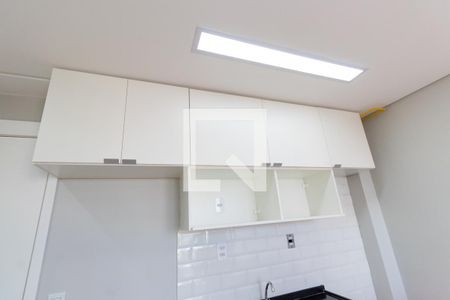 Apartamento para alugar com 45m², 2 quartos e 1 vagaCozinha - Armários