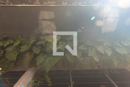 Vista da Varanda de apartamento para alugar com 1 quarto, 44m² em Jardim das Bandeiras, São Paulo