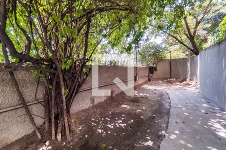 Apartamento à venda com 110m², 3 quartos e 2 vagasÁrea Comum - Espaço Pet