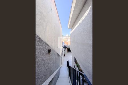 Casa para alugar com 225m², 3 quartos e 2 vagasQuintal