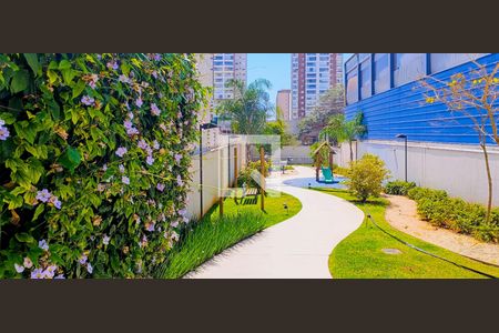 Studio para alugar com 45m², 1 quarto e 1 vagaÁrea comum - Praça Pet