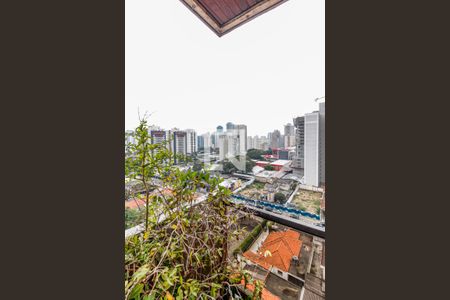 Apartamento à venda com 270m², 4 quartos e 4 vagasVaranda Suíte 2