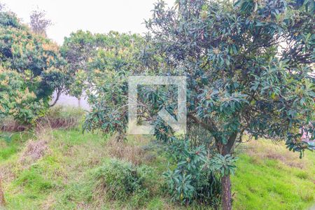 Apartamento para alugar com 71m², 2 quartos e 2 vagasVista do Quarto 2