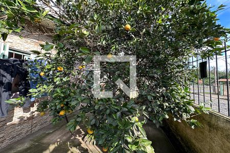 Casa à venda com 140m², 3 quartos e 2 vagasÁrea Externa