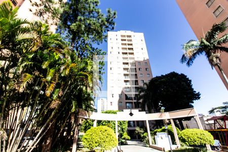 Apartamento à venda com 65m², 2 quartos e 1 vagaÁrea comum