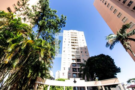 Apartamento à venda com 65m², 2 quartos e 1 vagaÁrea comum