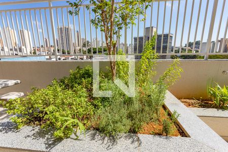 Apartamento à venda com 55m², 2 quartos e 1 vaga Apartamento à venda com 55m², 2 quartos e 1 vagaÁrea comum - horta