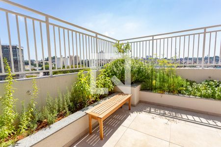 Apartamento à venda com 55m², 2 quartos e 1 vaga Apartamento à venda com 55m², 2 quartos e 1 vagaÁrea comum - horta