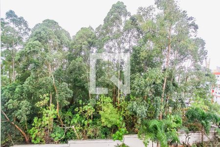 Apartamento para alugar com 37m², 1 quarto e 1 vagaVista da Varanda