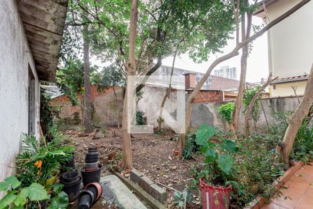 Casa à venda com 400m², 4 quartos e 3 vagasQuintal/Jardim