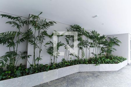 Apartamento para alugar com 54m², 2 quartos e 1 vaga Apartamento para alugar com 54m², 2 quartos e 1 vagaÁrea externa