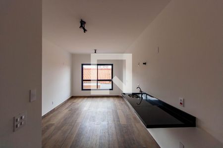 Sala/Quarto de kitnet/studio para alugar com 1 quarto, 25m² em Quinta da Paineira, São Paulo