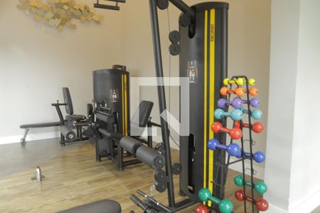 Studio para alugar com 24m², 1 quarto e sem vagaÁrea comum