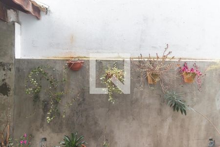 Casa para alugar com 220m², 3 quartos e 1 vagaVista da Cozinha