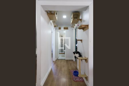 Hall de apartamento à venda com 2 quartos, 70m² em Santa Teresinha, São Paulo