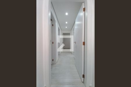 Corredor  de apartamento à venda com 3 quartos, 87m² em Jardim Paraíso, Campinas