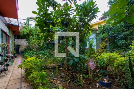 Casa à venda com 546m², 3 quartos e 6 vagasJardim