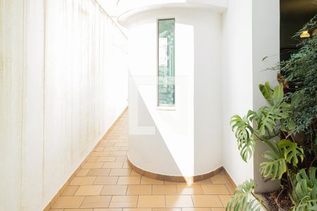 Casa à venda com 323m², 3 quartos e 5 vagasQuintal 