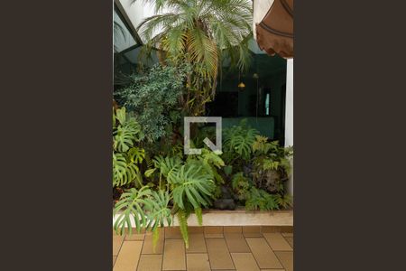 Casa à venda com 323m², 3 quartos e 5 vagasQuintal 