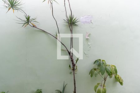 Casa para alugar com 120m², 1 quarto e sem vaga Casa para alugar com 120m², 1 quarto e sem vagaVista da Lavanderia