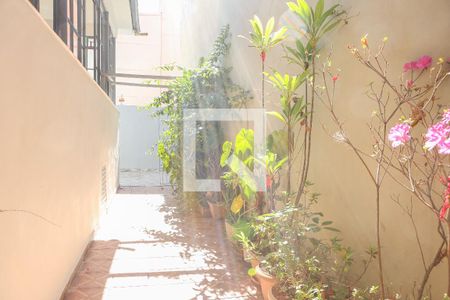 Casa à venda com 180m², 3 quartos e sem vaga Casa à venda com 180m², 3 quartos e sem vagaQuintal