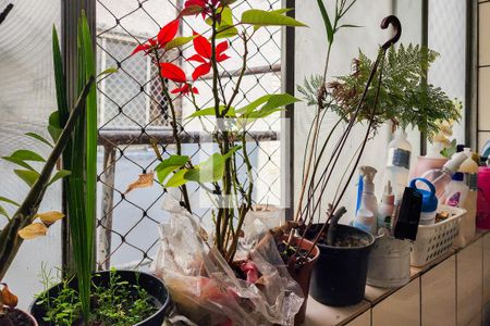 Apartamento à venda com 68m², 2 quartos e 1 vaga Apartamento à venda com 68m², 2 quartos e 1 vagaÁrea de Serviço