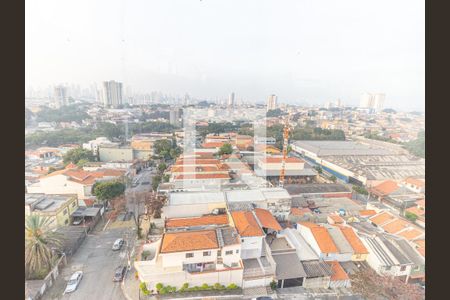 Apartamento à venda com 340m², 3 quartos e 3 vagasCobertura - Vista