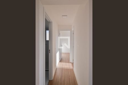 Corredor de apartamento para alugar com 2 quartos, 41m² em Cambuci, São Paulo