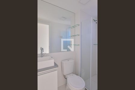 Banheiro de apartamento para alugar com 2 quartos, 41m² em Cambuci, São Paulo