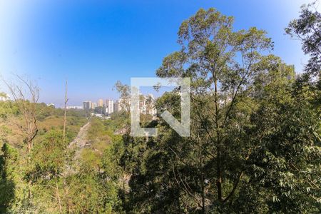 Vista da Varanda de apartamento para alugar com 3 quartos, 85m² em Paraíso do Morumbi, São Paulo